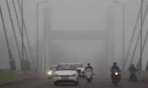 MP में ठंड का सितम जारी, पचमढ़ी का पारा 0.2 डिग्री पहुंचा,जानें आज का ताजा IMD अपडेट