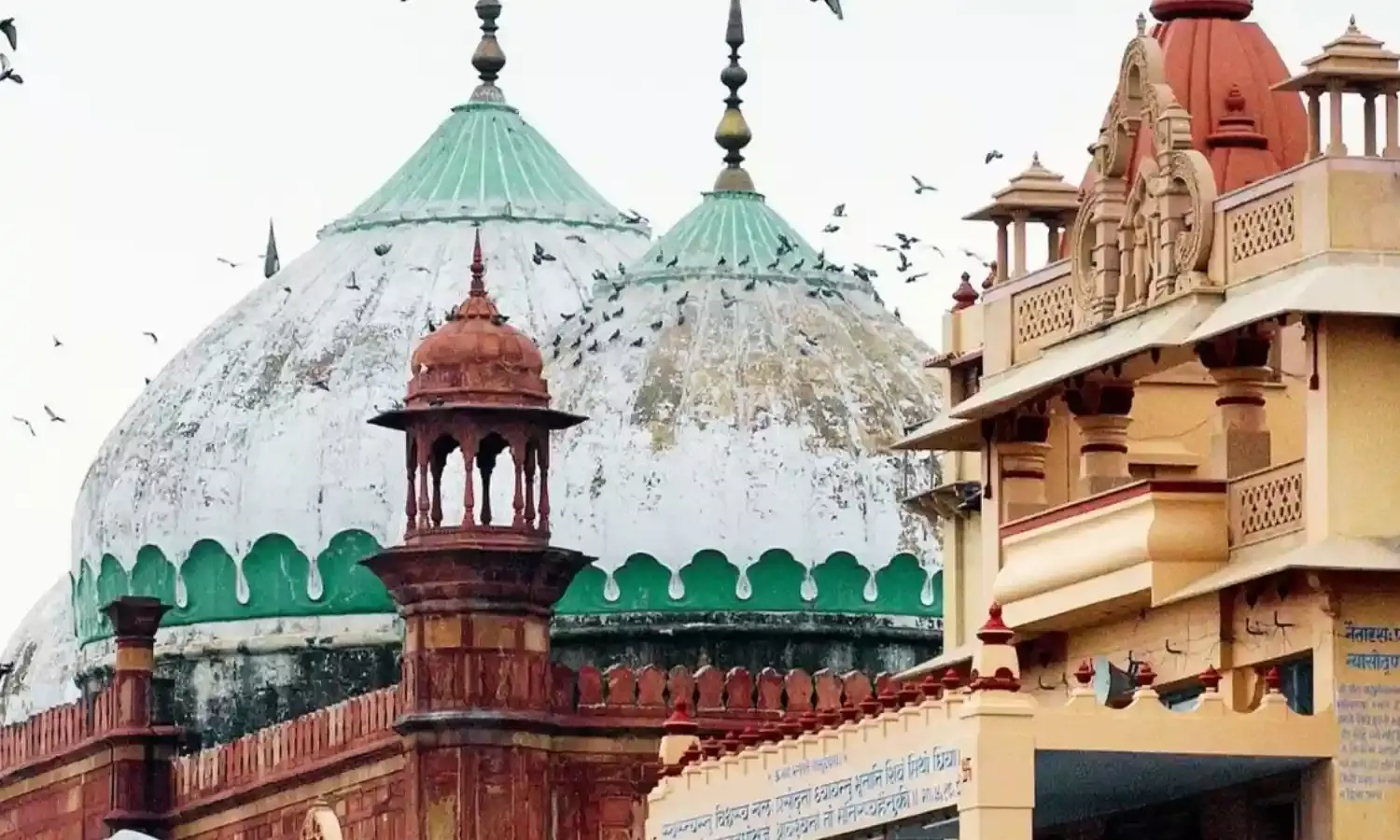 कृष्ण जन्मभूमि विवाद पर सुप्रीम कोर्ट ने हस्तक्षेप करने से किया इंकार, कहा - एक साथ सुनवाई सभी के हित में कृष्ण जन्मभूमि विवाद पर सुप्रीम कोर्ट ने हस्तक्षेप करने से किया इंकार, कहा - एक साथ सुनवाई सभी के हित में