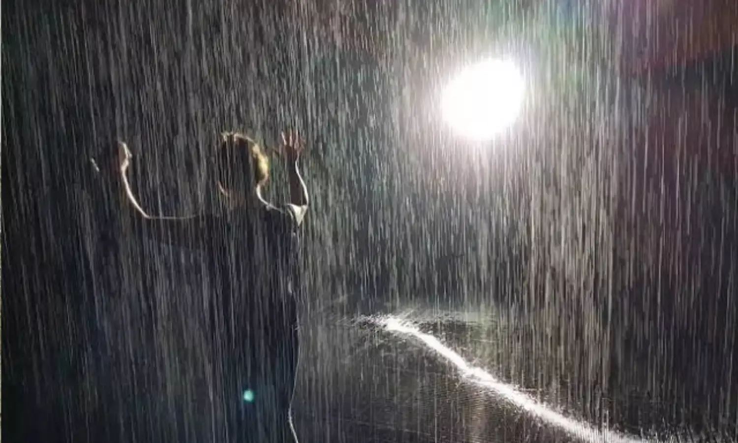 बारिश और कोहरे के बीच फिर बढ़ेगा जाड़ा, इन राज्यों में पड़ेगा पाला, जानें...