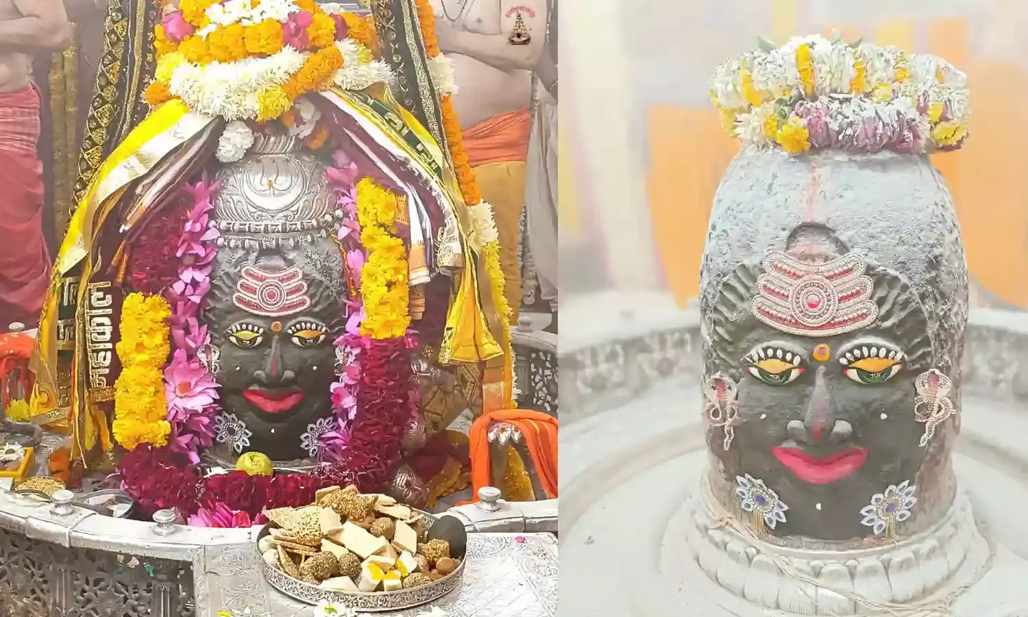 मकर संक्रांति पर बाबा महाकाल को तिल का भोग, शिप्रा - नर्मदा घाट पर भक्तों की उमड़ी भीड़