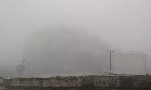 दिल्ली सहित पूरे उत्तर में घना कोहरा, कई जिलों में दृश्यता शून्य