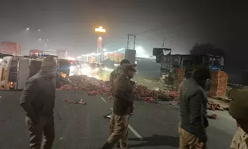 हाईवे पर मांस से भरी पिकअप गाड़ी पलटी, चालक परिचालक फरार,  गोवंश का हो सकता है सड़क पर फैला मांस…