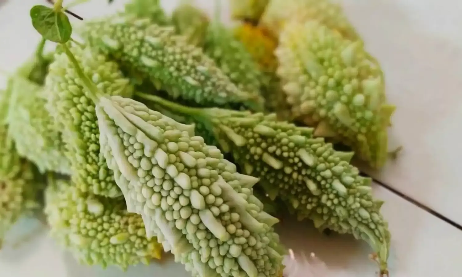 क्या करेला सच में डायबिटीज करता है कंट्रोल? जानें एक्सपर्ट की क्या है राय