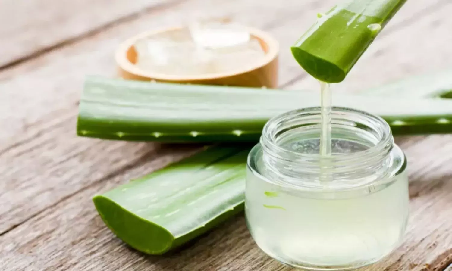 सर्दियों में क्या हेल्दी होता है एलोवेरा जूस का सेवन, सेहत को बनाता हैं बेहतर, जानिए नुकसान - फायदे सर्दियों में क्या हेल्दी होता है एलोवेरा जूस का सेवन, सेहत को बनाता हैं बेहतर, जानिए नुकसान - फायदे