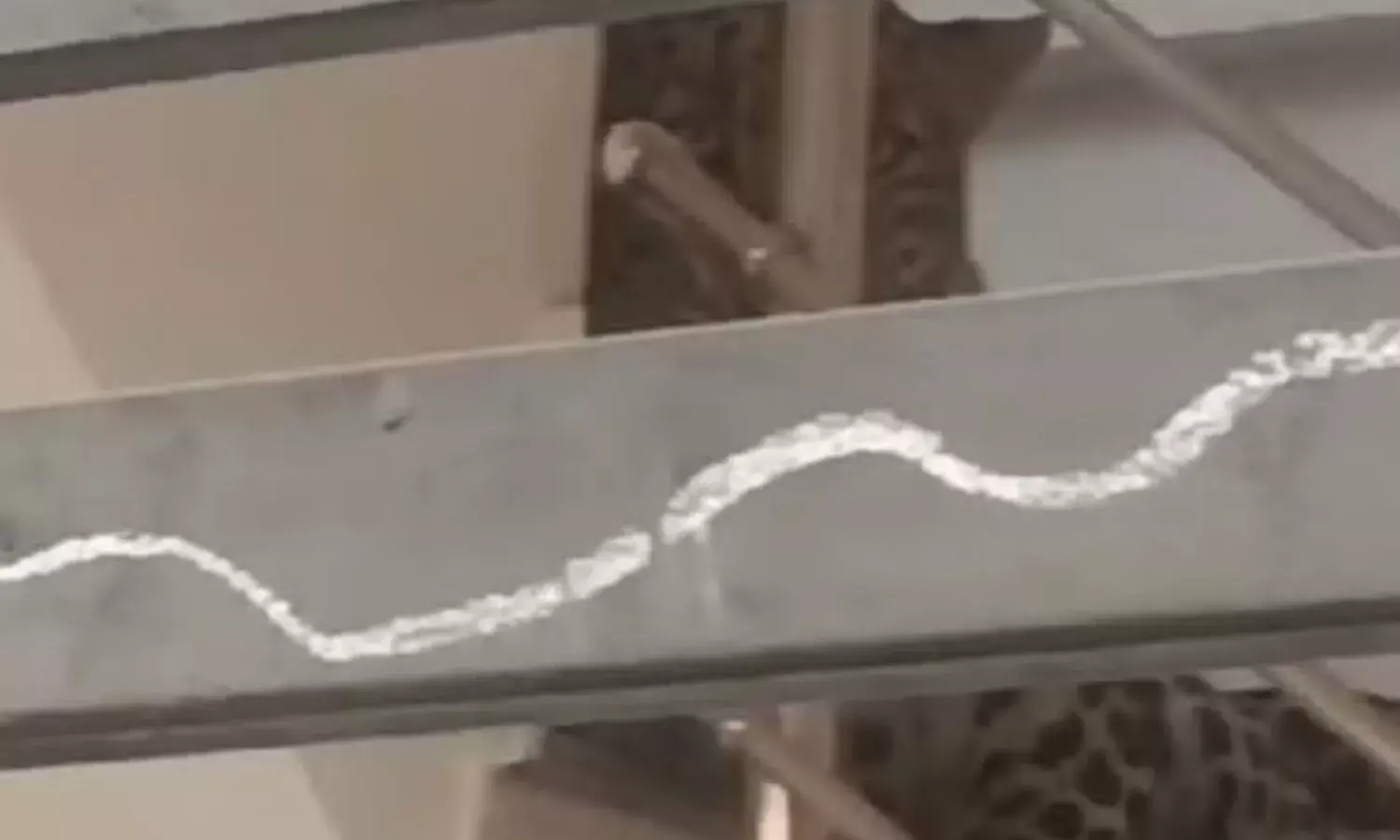 Indore Leopard Video