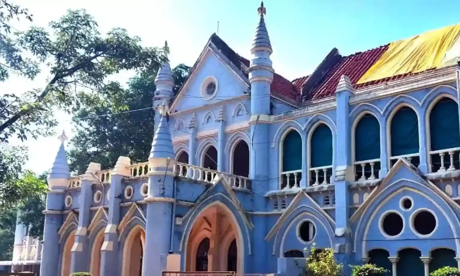 अवैध वन कटाई के खिलाफ आवाज उठाने वाले कार्यकर्ता को जिलाबदर करने का मामला…