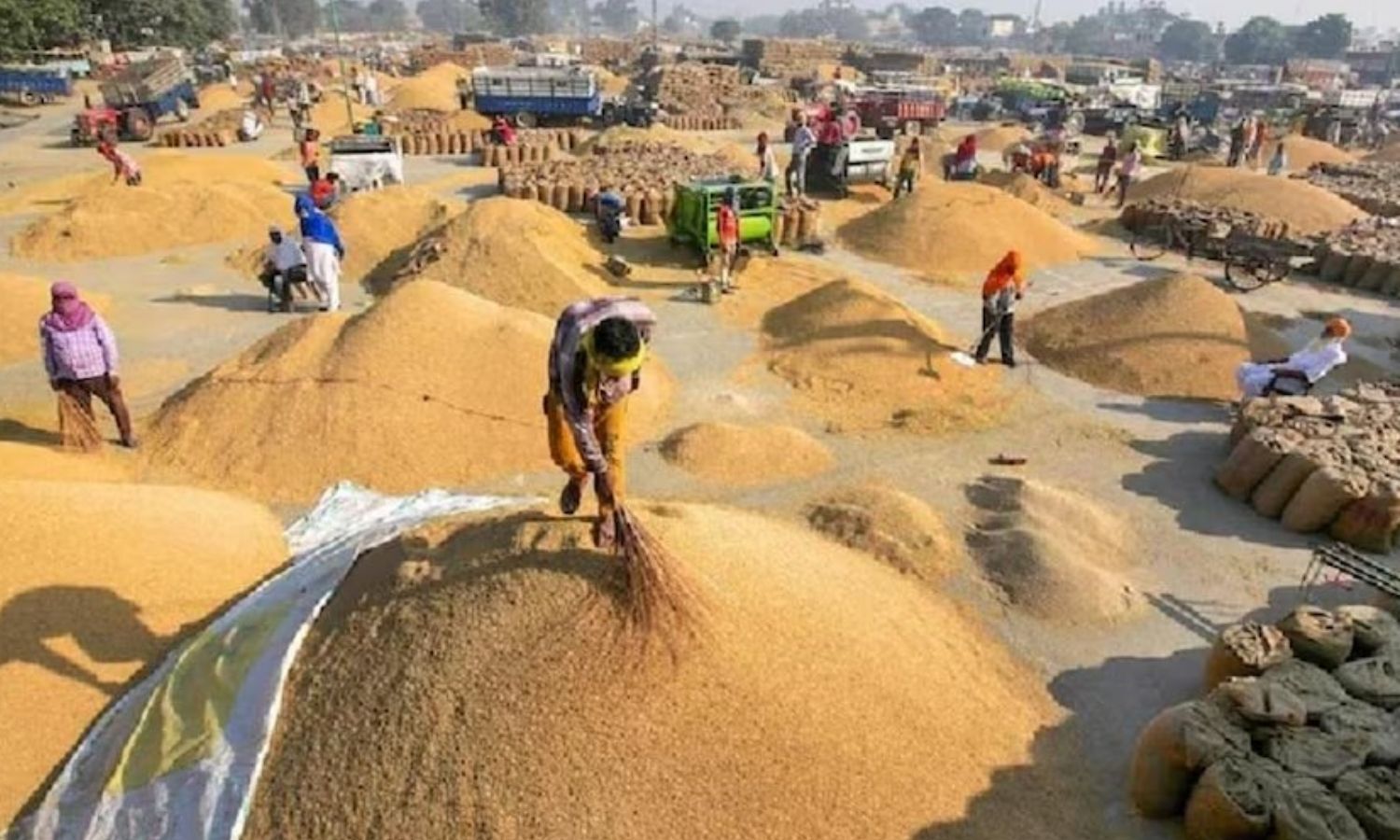 CG Paddy Scam: धान खरीदी केंद्र पर 1.57 करोड़ का घोटाला, सहायक समिति प्रबंधक समेत 6 के खिलाफ शिकायत दर्ज | Rs 1.57 crore scam at CG paddy procurement centre, complaint filed against 6 including assistant committee manager