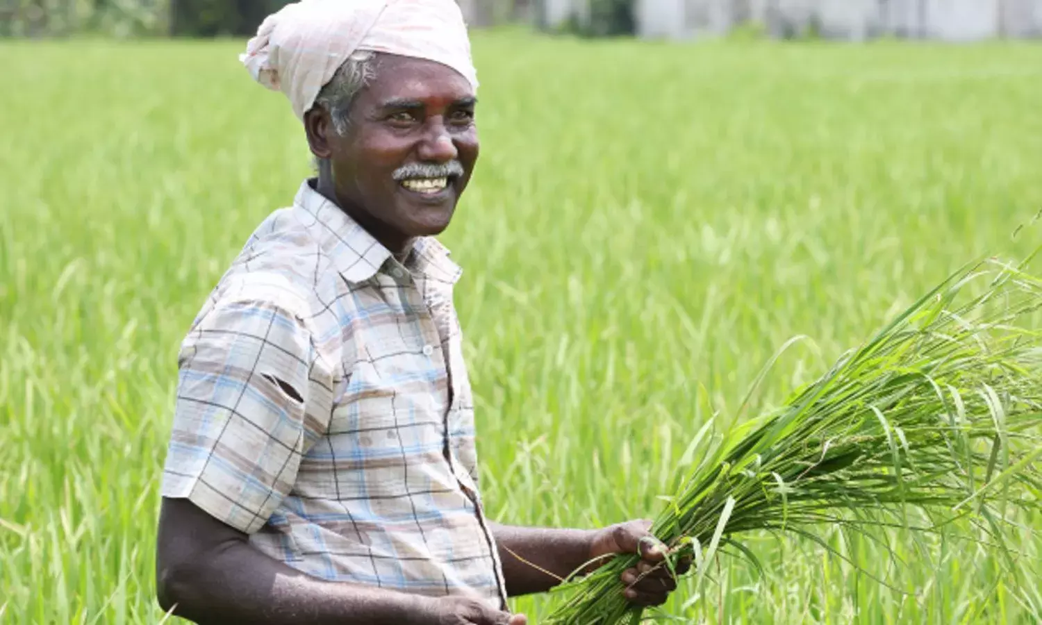 क्या किसानों को मोदी 3.0 देगी बड़ी सौगात, पीएम किसान निधि की बढ़ सकती है राशि