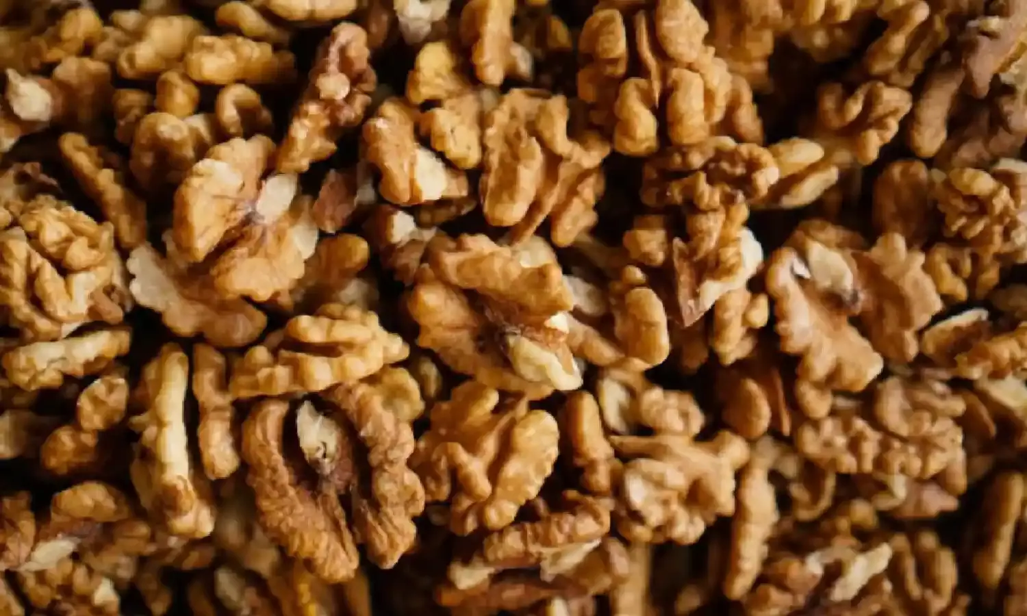 रोज सुबह खाली पेट भीगा हुआ अखरोट खाने से सेहत को मिलते हैं गजब की फ़ायदे, जानें डिटेल्स रोज सुबह खाली पेट भीगा हुआ अखरोट खाने से सेहत को मिलते हैं गजब की फ़ायदे, जानें डिटेल्स