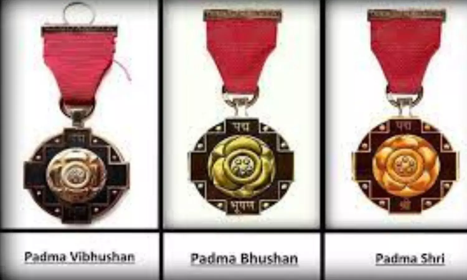 भेरू सिंह चौहान और सैली होल्कर समेत मध्यप्रदेश के 5 लोगों को मिला भारत का सर्वोच्च सम्मान