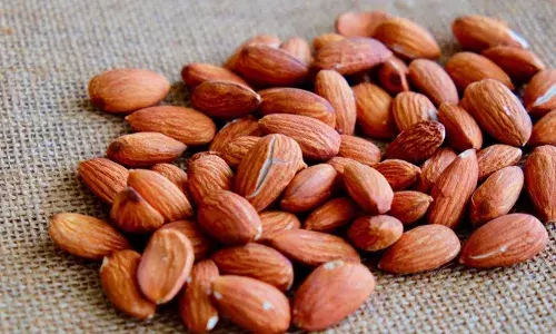 बादाम के छिलके स्किन के लिए हैं बेहद फायदेमंद, जानें कैसे करें इसका इस्तेमाल