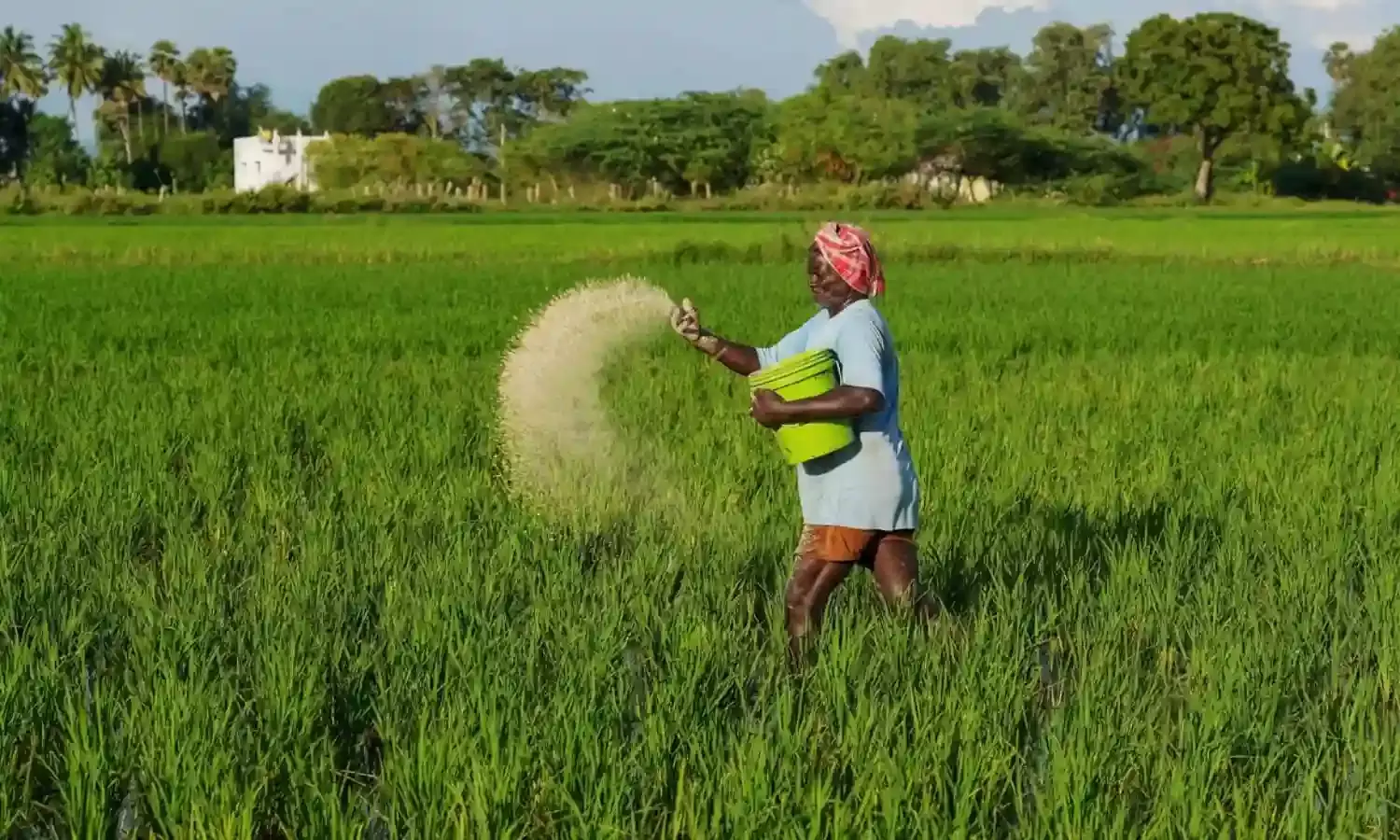 प्राकृतिक खेती को मिलेगा बड़ा प्रोत्साहन?