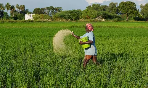 प्राकृतिक खेती को मिलेगा बड़ा प्रोत्साहन?