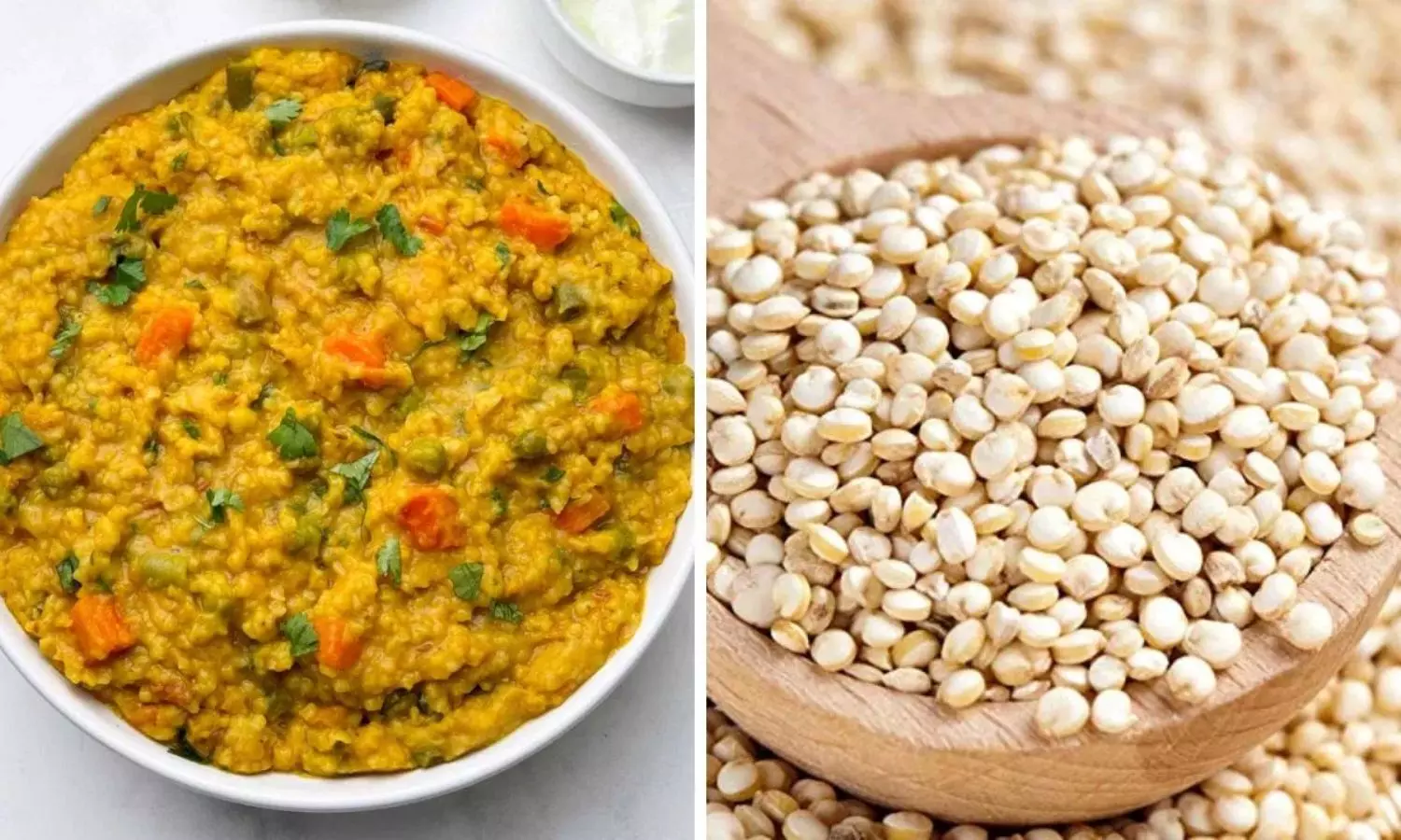 दलिया या क्विनोआ, कौन सा है ज्यादा हेल्दी? जानें एक्सपर्ट की राय