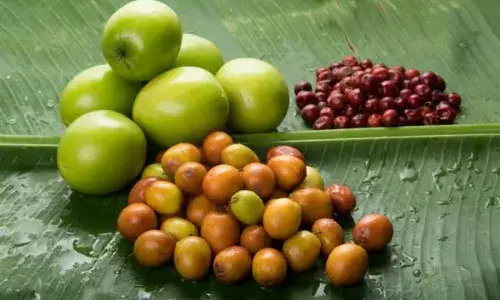 बसंत पंचमी पर देवी मां सरस्वती को लगाएं बेर का भोग, ब्लड सर्कुलेशन होता है बेहतर