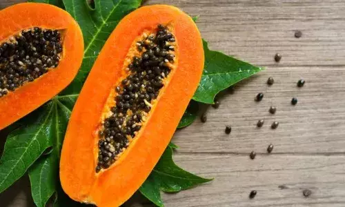 पपीता नहीं इसके बीज में समाए कई सारे गुण, पाचन तंत्र के अलावा इन बीमारियों के लिए है फायदेमंद