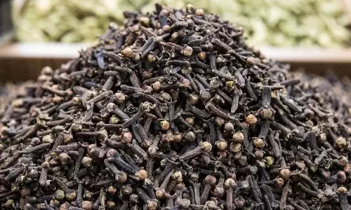 बालों को खूबसूरत बनाने के लिए लगाएं लौंग का पानी, जानें इसके फायदे