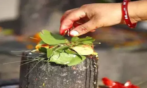 महाशिवरात्रि के दिन शिवलिंग को बेलपत्र अर्पित करना होता हैं विशेष, जानिए इसका सही नियम