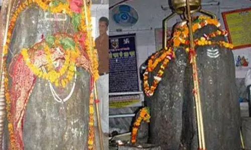 एक ऐसा भी अनोखा शिवलिंग, दो भागों में वास करते हैं भगवान शिव और माता पार्वती, जानिए इसकी कहानी