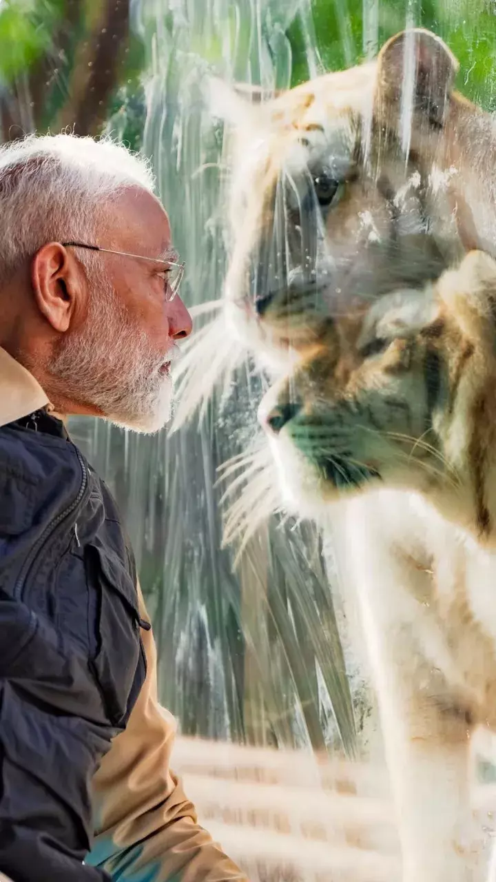 शेर के बच्चे से खेलते नजर आए पीएम मोदी, देखिए तस्वीरें