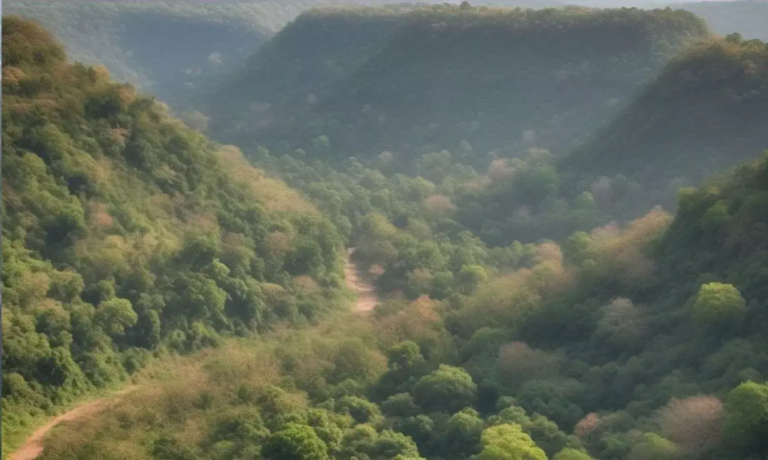 छत्तीसगढ़ में 683 वर्ग किलोमीटर बढ़ गया वन, बना देश का तीसरा सबसे बड़ा वन क्षेत्रफल वाला राज्य