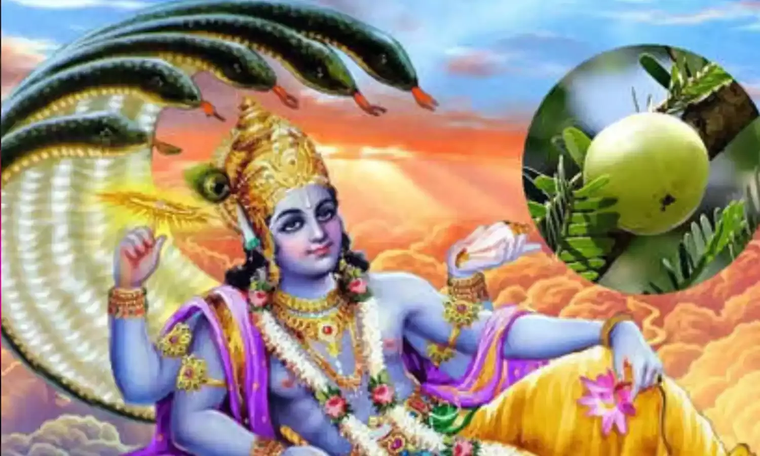 होली के पहले इस दिन मनाई जाएगी आमलकी एकादशी, जानिए पूजा विधि और शुभ मुहूर्त होली के पहले इस दिन मनाई जाएगी आमलकी एकादशी, जानिए पूजा विधि और शुभ मुहूर्त