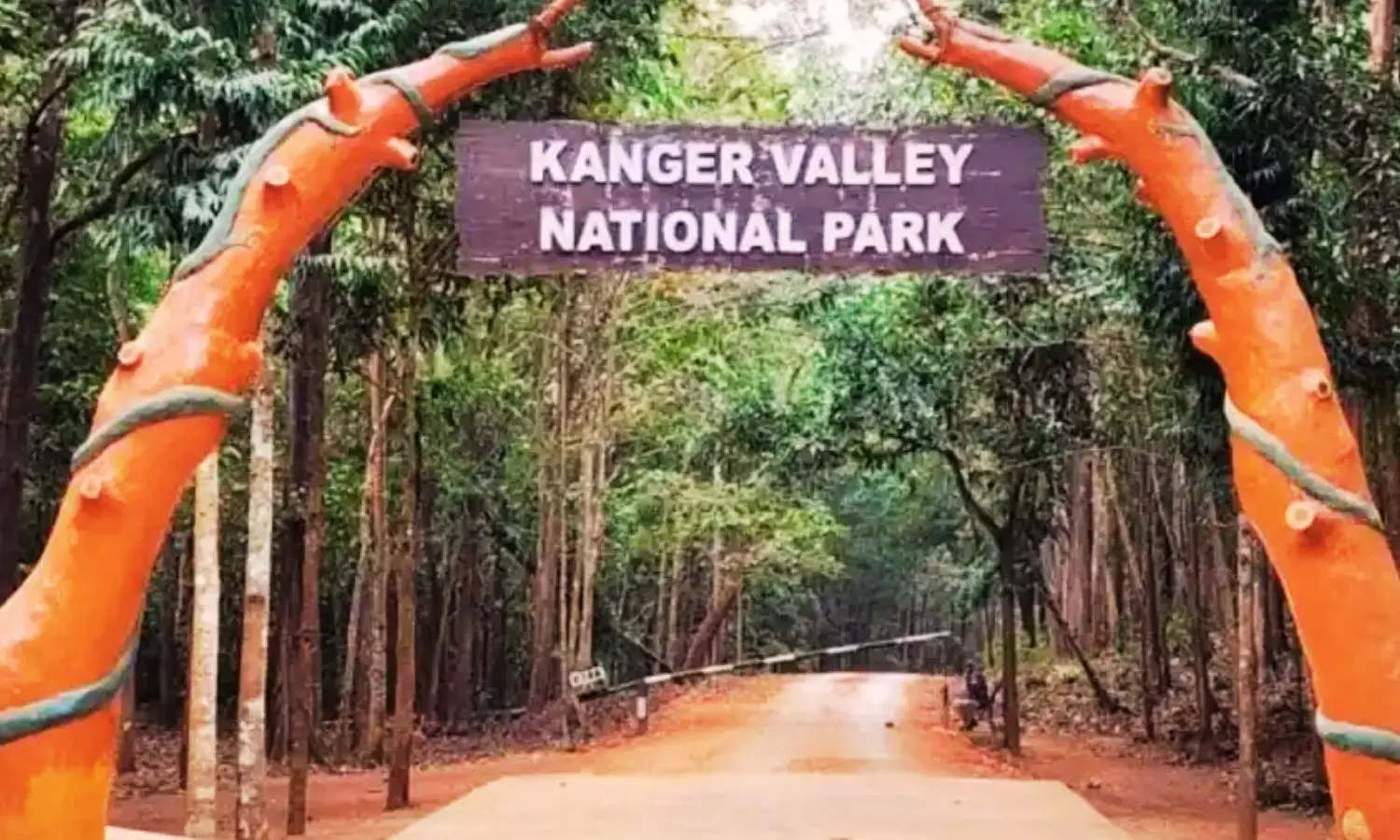 यूनेस्को की लिस्ट में शामिल हुआ कांगेर वैली, वित्त मंत्री ओपी चौधरी बोले- ये गर्व का क्षण यूनेस्को की लिस्ट में शामिल हुआ कांगेर वैली, वित्त मंत्री ओपी चौधरी बोले- ये गर्व का क्षण