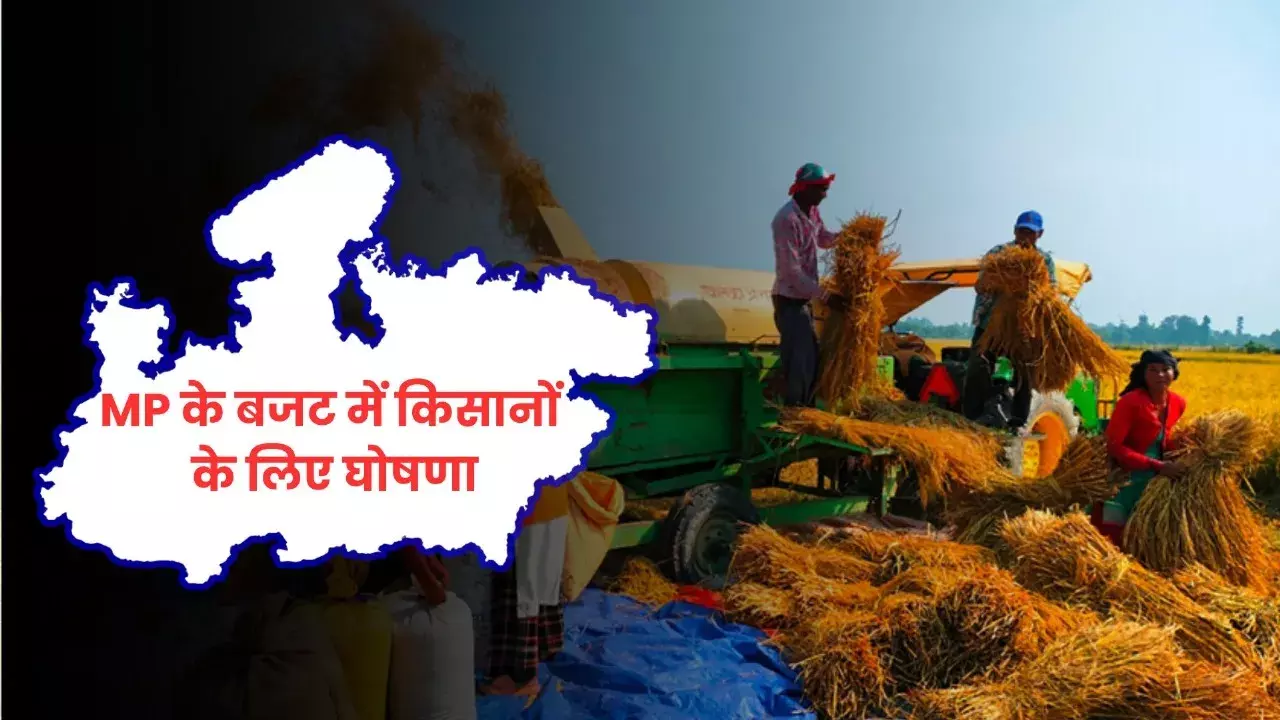 MP Budget for Farmers