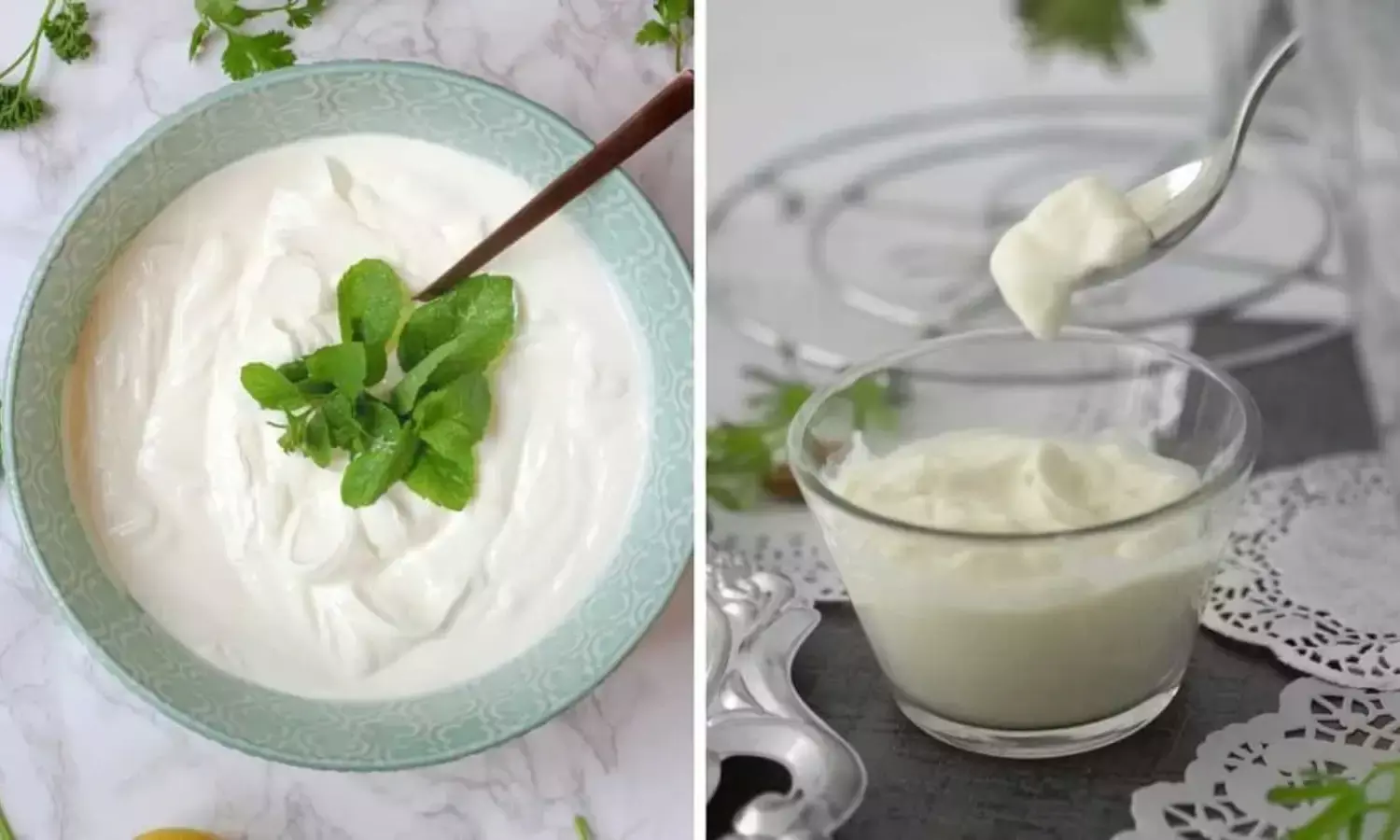 दही और योगर्ट दोनों में से सेहत के लिए कौन सा है ज्यादा फायदेमंद? जानें