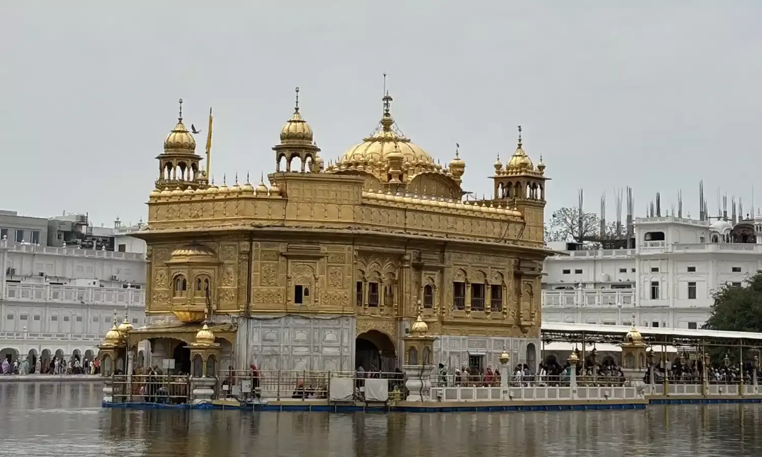 अमृतसर के स्वर्ण मंदिर में श्रद्धालुओं पर लोहे की रॉड से हमला, 5 घायल, एक ही हालत गंभीर अमृतसर के स्वर्ण मंदिर में श्रद्धालुओं पर लोहे की रॉड से हमला, 5 घायल, एक ही हालत गंभीर