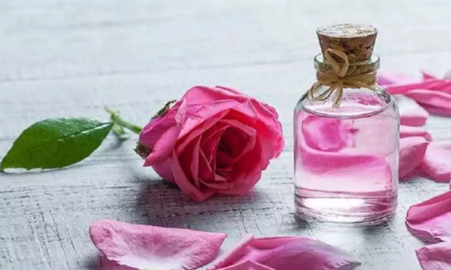 चेहरे पर बार-बार गुलाब जल लगाने से हो सकते है कई नुकसान, जानें