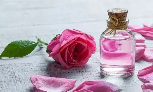 चेहरे पर बार-बार गुलाब जल लगाने से हो सकते है कई नुकसान, जानें चेहरे पर बार-बार गुलाब जल लगाने से हो सकते है कई नुकसान, जानें