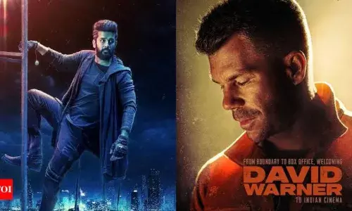 साउथ के रंग में रंगे पूर्व ऑस्ट्रेलियाई क्रिकेटर डेविड वॉर्नर, सामने आया शानदार पोस्टर