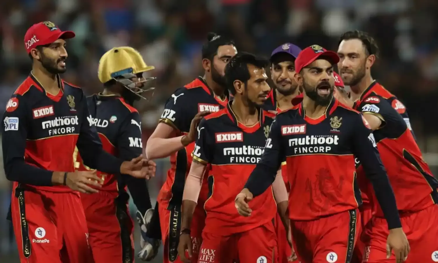 JOSH HAZLEWOOD IS BACK IN RCB