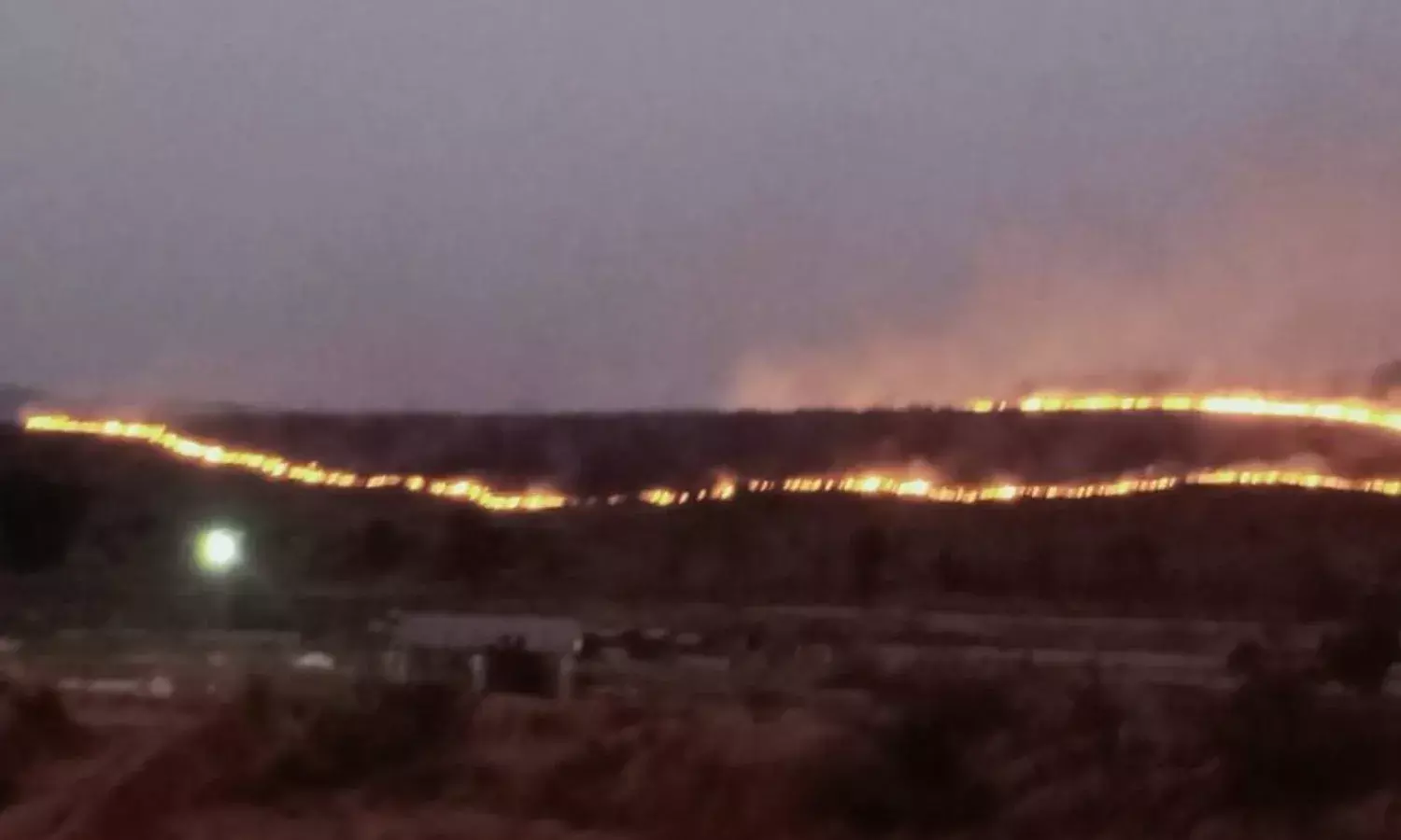 Massive Fire in Jogipali-Kanki Forest of Korba Massive Fire in Jogipali-Kanki Forest of Korba