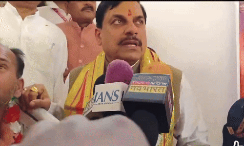 करीला मंदिर में पत्रकारों से बात करते समय सीढ़ी टूटी, सीएम डॉ.   मोहन यादव चोटिल होने से बचे