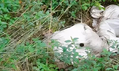 भोपाल की हैरान कर देने वाली घटना