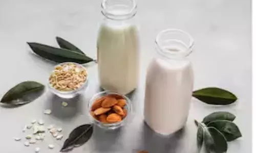 वीगन लोग दूध को नॉनवेज क्यों मानते हैं? जानिए बड़ी वजह