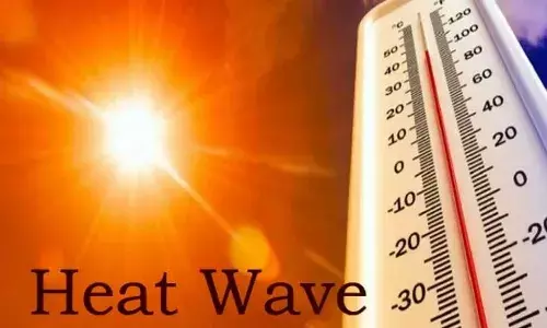 हीट वेव से बढ़ा हेल्थ अलर्ट, हार्ट और किडनी पर पड़ सकता है असर