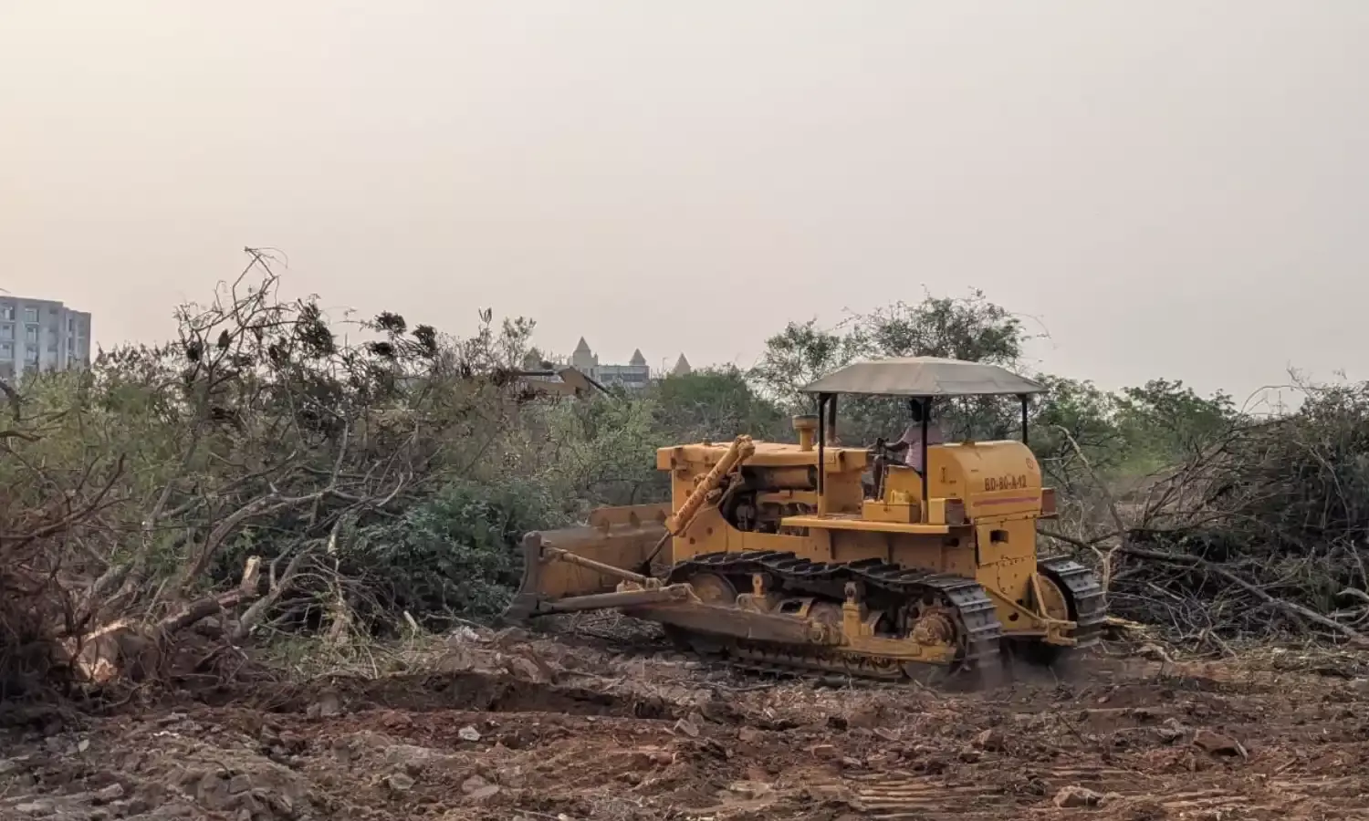 जानवरों की ‘गुहार’ के बीच चलीं मशीनें, सुप्रीम कोर्ट ने लगाई रोक...
