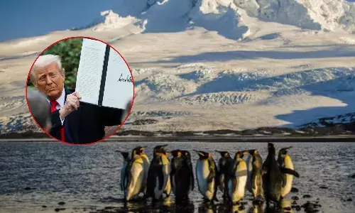 ट्रंप की टैरिफ मिसाइल की चपेट में आए सील, पेंगुइन और पक्षी ट्रंप की टैरिफ मिसाइल की चपेट में आए सील, पेंगुइन और पक्षी