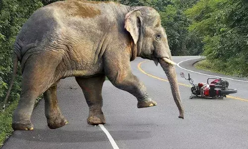 महिला का उखाड़ा हाथ, युवक को पैरों से रौंदा