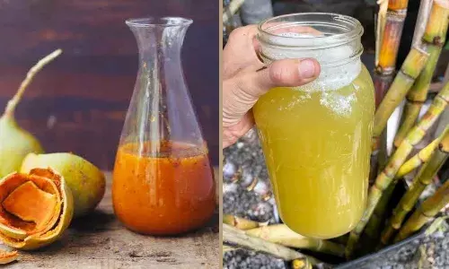 गर्मियों में गन्ने या बेल कौन सा जूस शरीर को रखता है ठंडा, जानें इसकी पूरी डिटेल्स