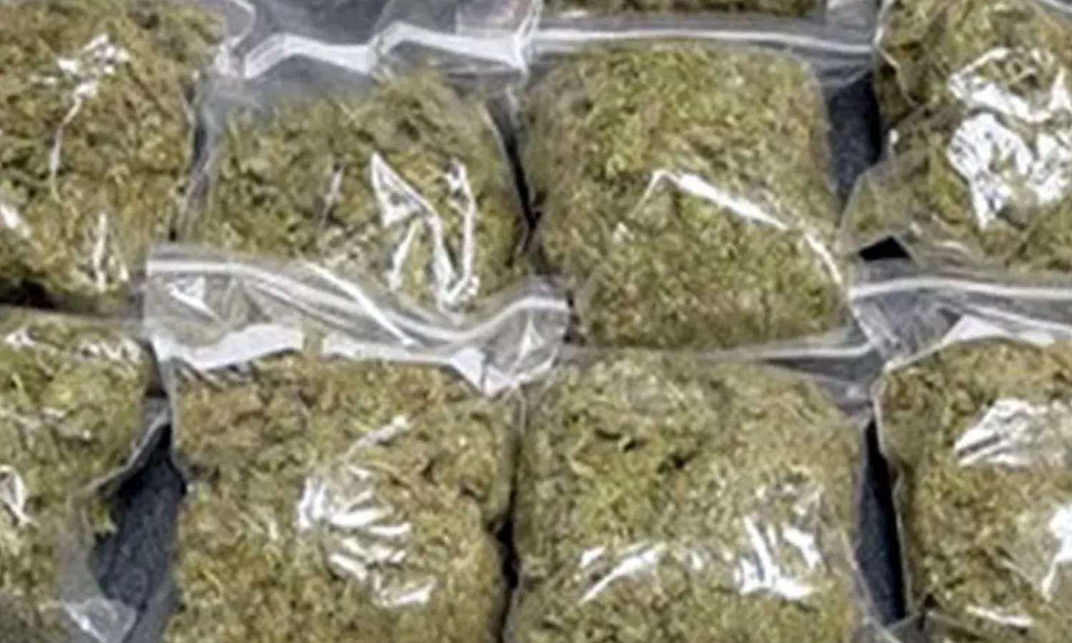 2 महिला समेत 5 आरोपी गिरफ्तार, लाखों का माल जब्त