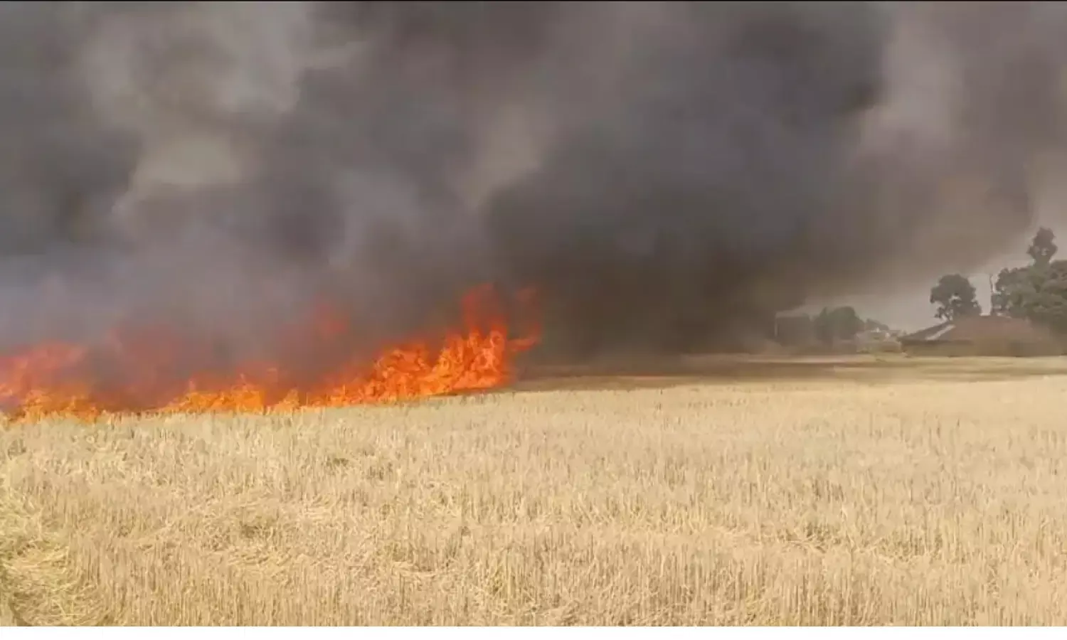 खेत-खलिहानों में रखी फसल स्वाहा, बिजली का तार टूटने से लगी आग…
