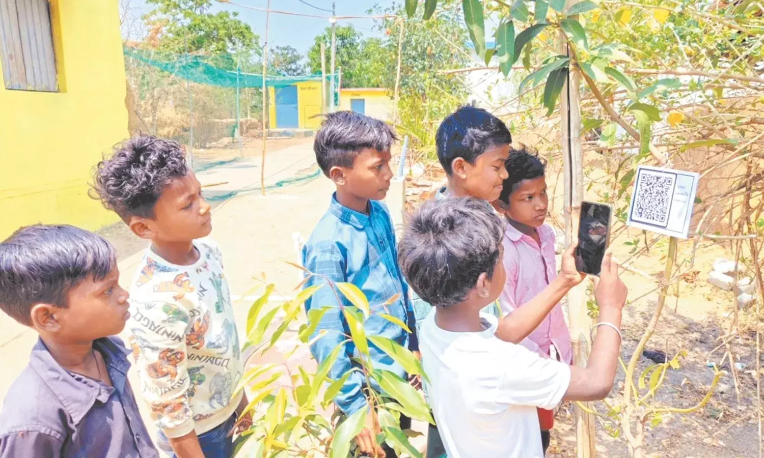 पेड़ अब खुद बताएंगे अपनी कहानी, QR कोड से जानिए उनकी पहचान पेड़ अब खुद बताएंगे अपनी कहानी, QR कोड से जानिए उनकी पहचान