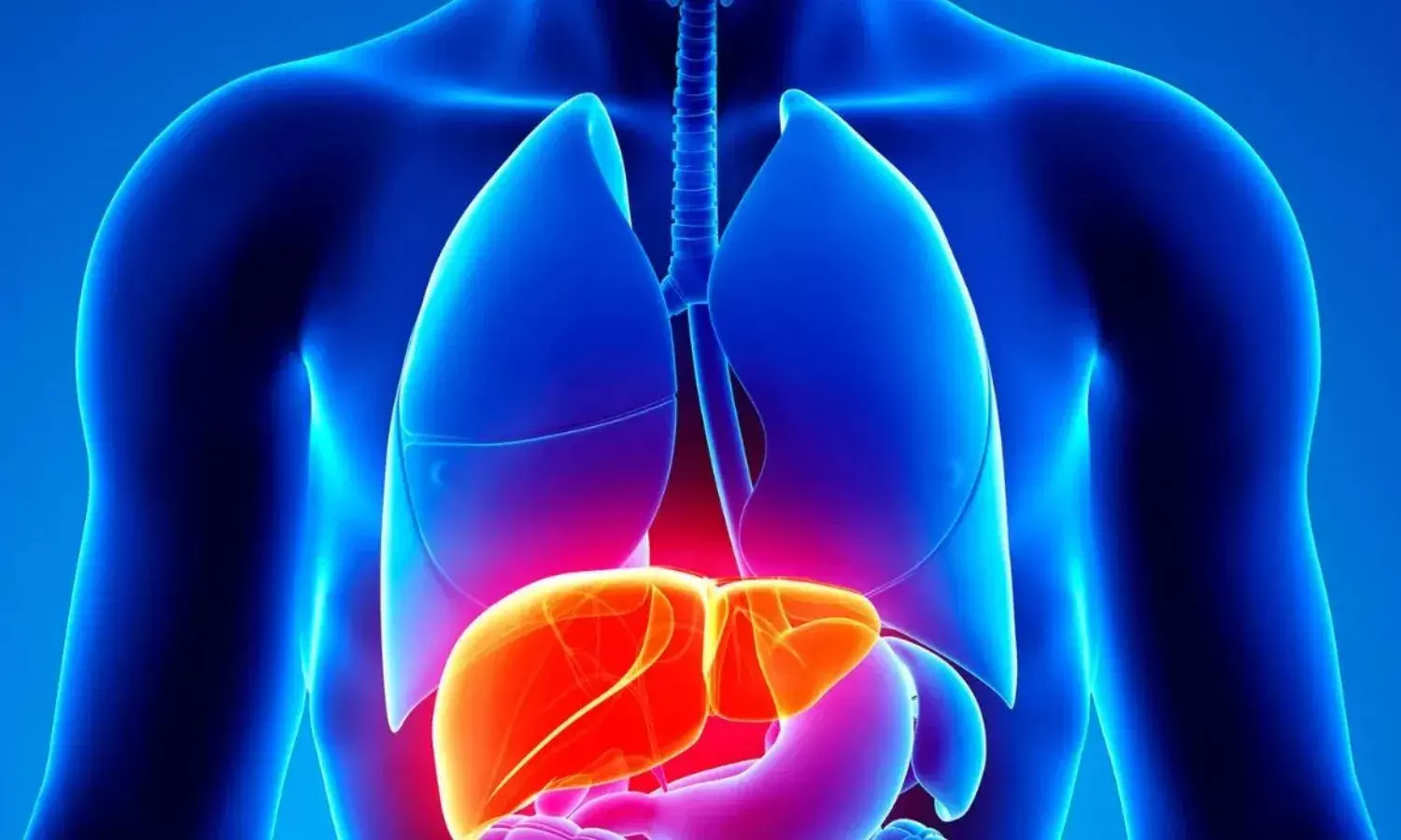 धूप में छुपा है लिवर को हेल्दी रखने का राज, रिसर्च में हुआ खुलासा धूप में छुपा है लिवर को हेल्दी रखने का राज, रिसर्च में हुआ खुलासा