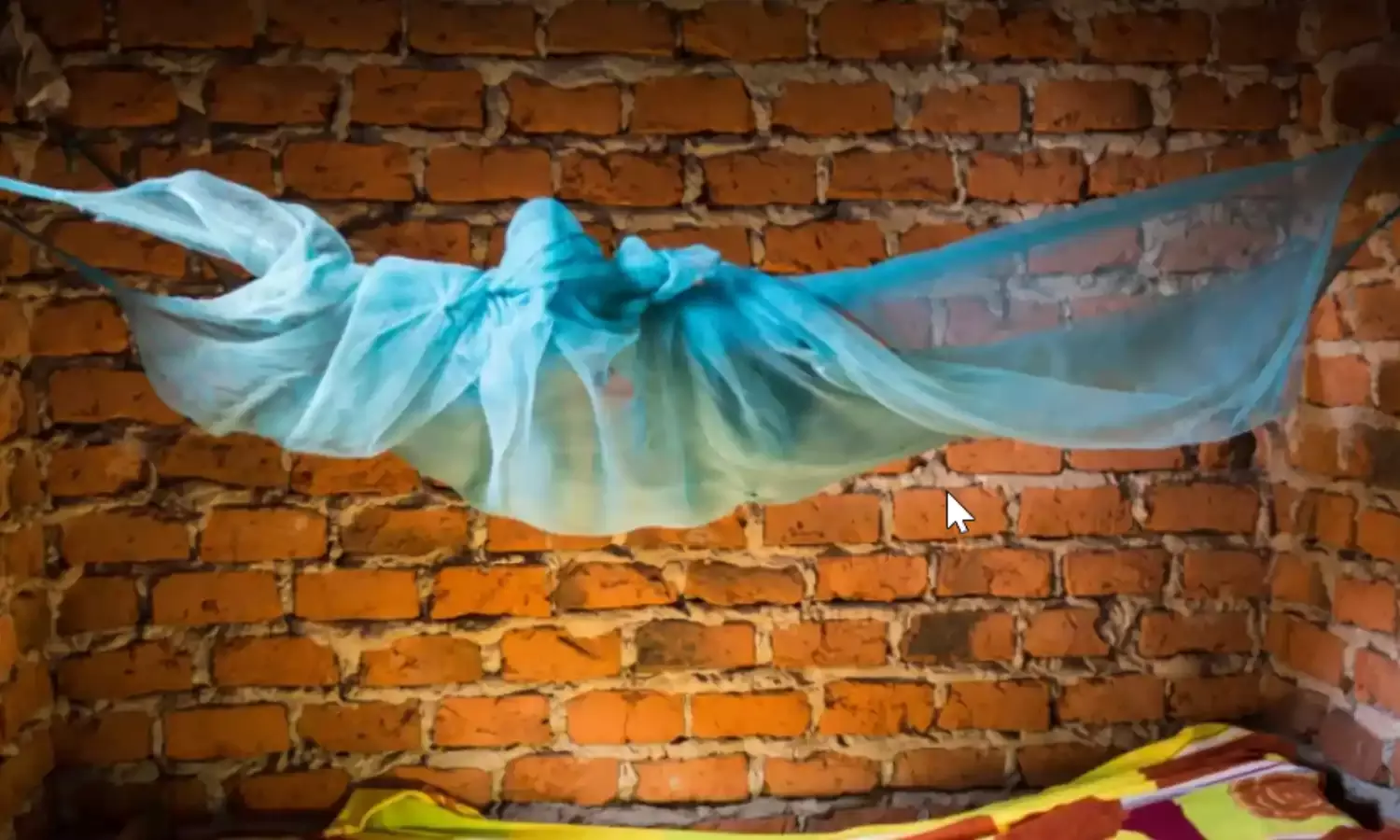 मलेरिया जैसी घातक बीमारी से रहना है सुरक्षित, तो खुद अपना लें ये अच्छी आदतें मलेरिया जैसी घातक बीमारी से रहना है सुरक्षित, तो खुद अपना लें ये अच्छी आदतें