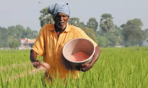 सरकारी जैविक संस्थाओं पर नकेल से किसान परेशान