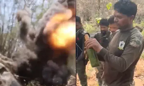 बीजापुर मुठभेड़ सातवें दिन जारी, नक्सलियों के प्लांटेड बॉम्ब्स को जवानों ने किया डिफ्यूज